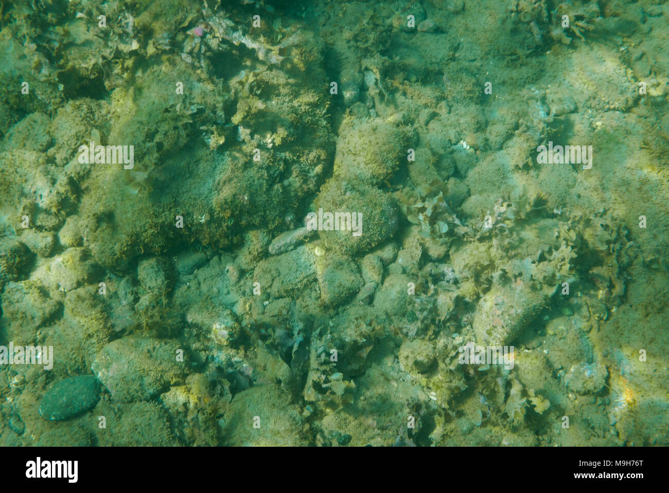 Grün unterwasser Hintergrund. Stockfoto