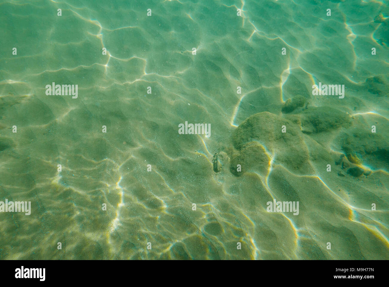 Grün unterwasser Hintergrund. Stockfoto