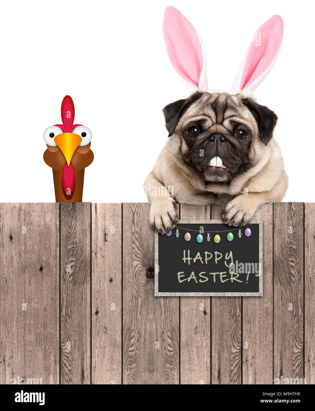 Schöne mops Hund mit Osterhasen Ohren Diadem und Huhn, mit Schild, frohe Ostern, auf weißem Hintergrund Stockfoto