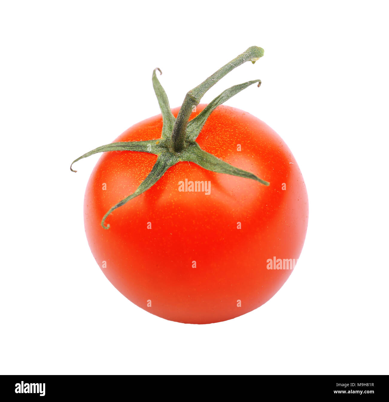 Eine ganze reife rote saftig glänzenden Tomate mit grüner Zweig auf weißem Hintergrund Stockfoto