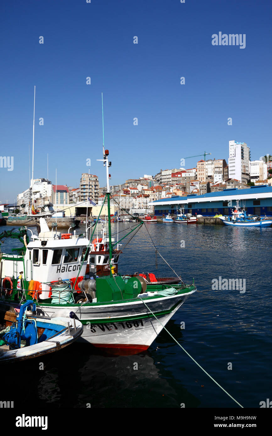 Fischerboote im Hafen und Gebäude am Hang, Vigo, Galicia, Spanien Stockfoto