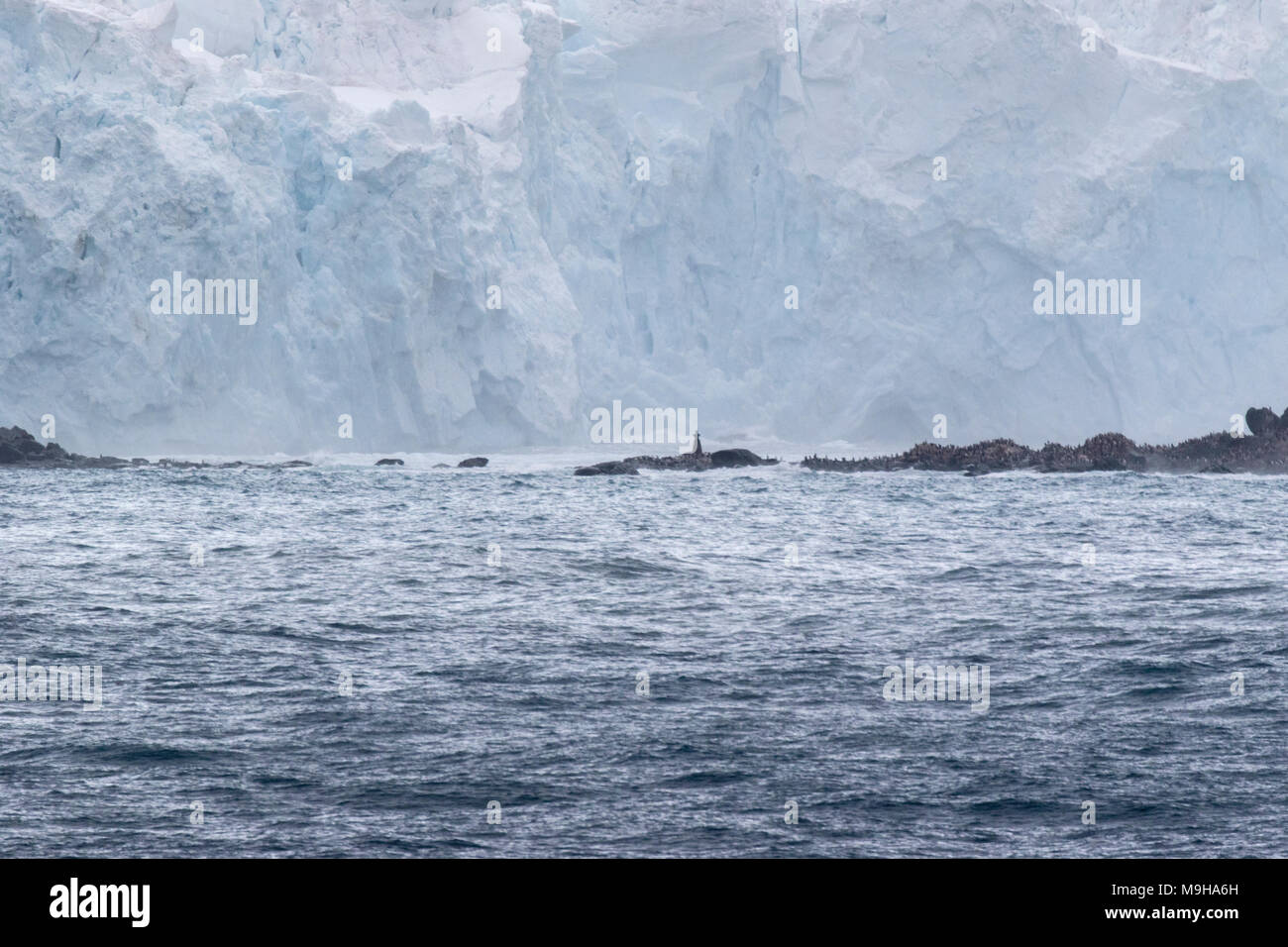 Blick auf Punkt Wild, Elephant Island, Antarktis, Memorial zu Yelcho, Standort von Ernest Shackleton Ausdauer rescue Stockfoto