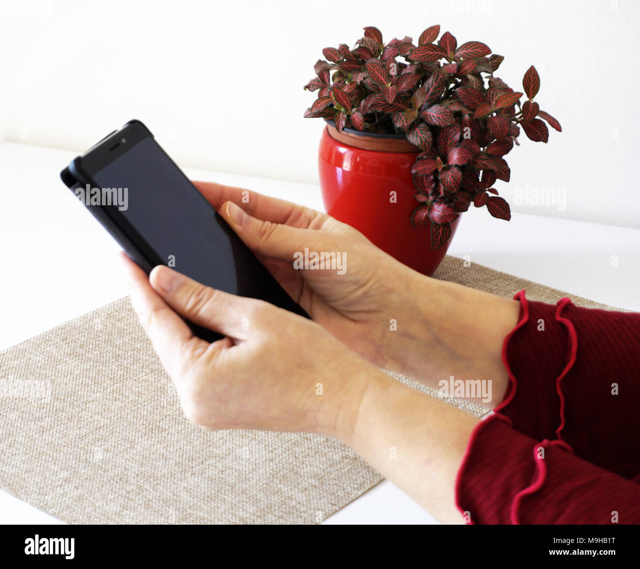 Frau mittleren Alters Hände halten Blank Screen smartphone Gadget und es Stockfoto