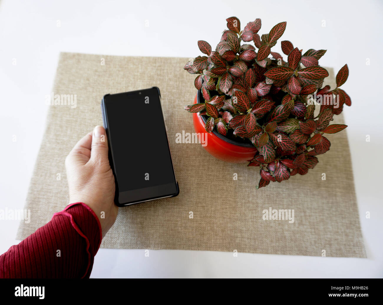 Frau Hand leerer Bildschirm smartphone Zelle auf der weißen Tisch Dekorieren mit Blumen Stockfoto