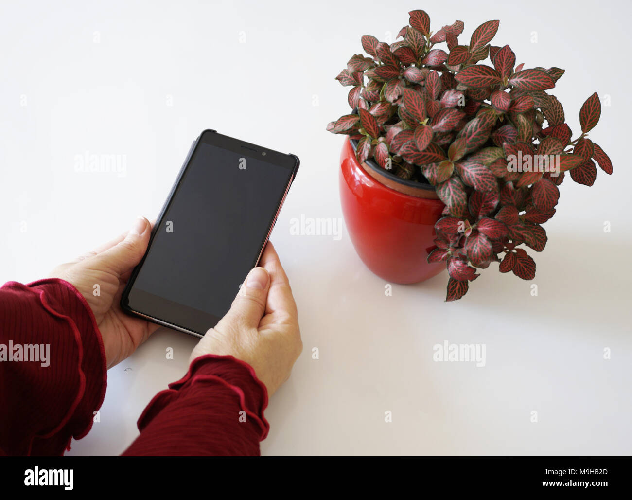 Frau Hände halten leeren schwarzen Bildschirm Smartphone auf dem Tisch Stockfoto
