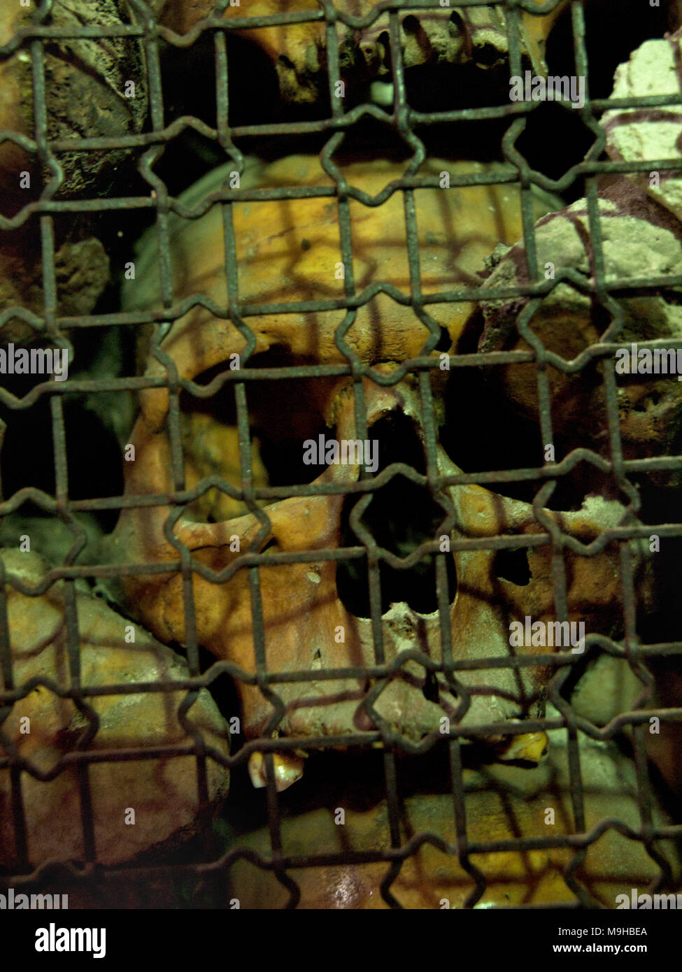 Innenansicht der Kirche von San Bernardino alle Ossa in Mailand Stockfoto