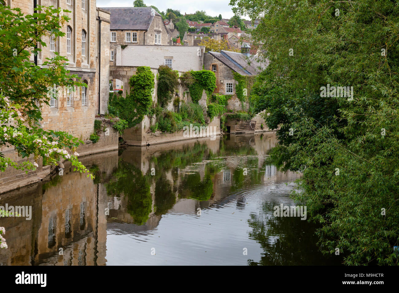 Alte Häuser entlang des Flusses Avon (Bristol Avon) in Bradford-on-Avon, eine Stadt und Gemeinde im Westen, Südwesten, Wiltshire, England, Grossbritannien Stockfoto