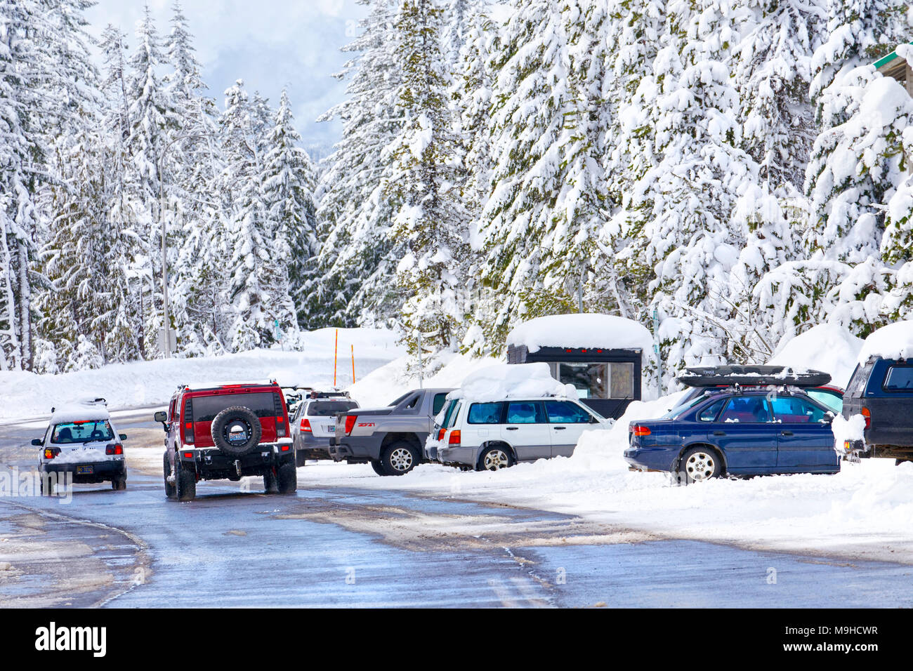 43,160.09728 Winter schneebedeckte Straße, Bäume & Fahren & geparkten Fahrzeug Stockfoto