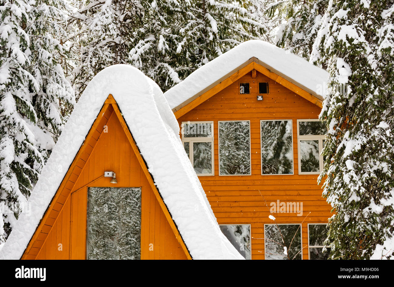 43,160.09740 close-up Schnee Haus Dach im Nadelwald, tief verschneite Bäume Stockfoto