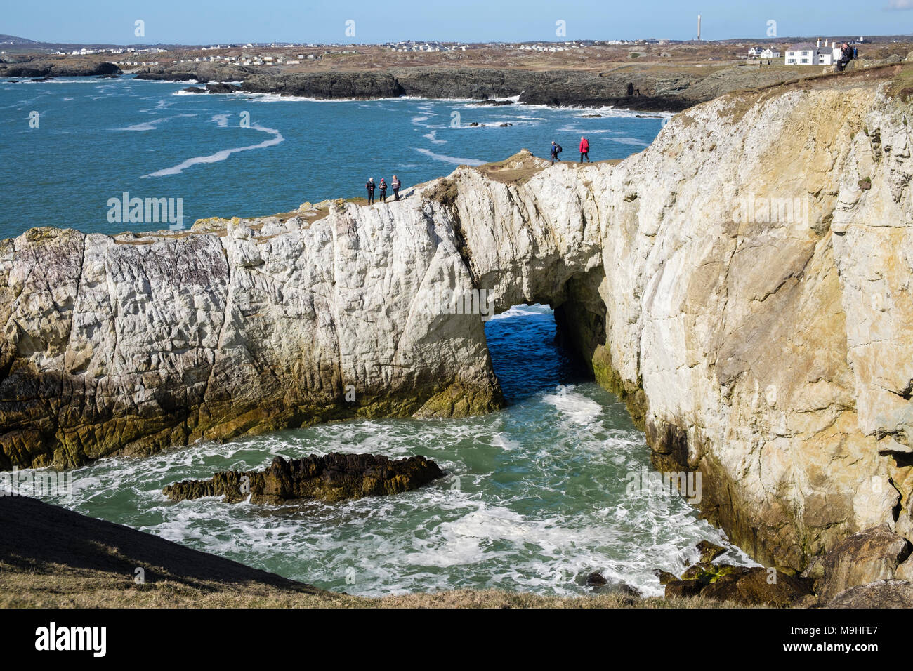 Wanderer zu Fuß auf Bwa Gwyn oder Weiß Arch Rock Formation auf der Insel Anglesey Coastal Path auf Seeklippen in Penrhyn Bay. Rhoscolyn ANGLESEY Wales UK Stockfoto