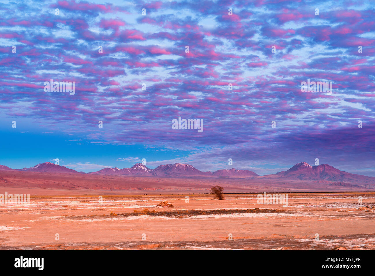 Berge und Vulkane im Altiplano in der Atacama Wüste in Chile bei Sonnenuntergang Stockfoto