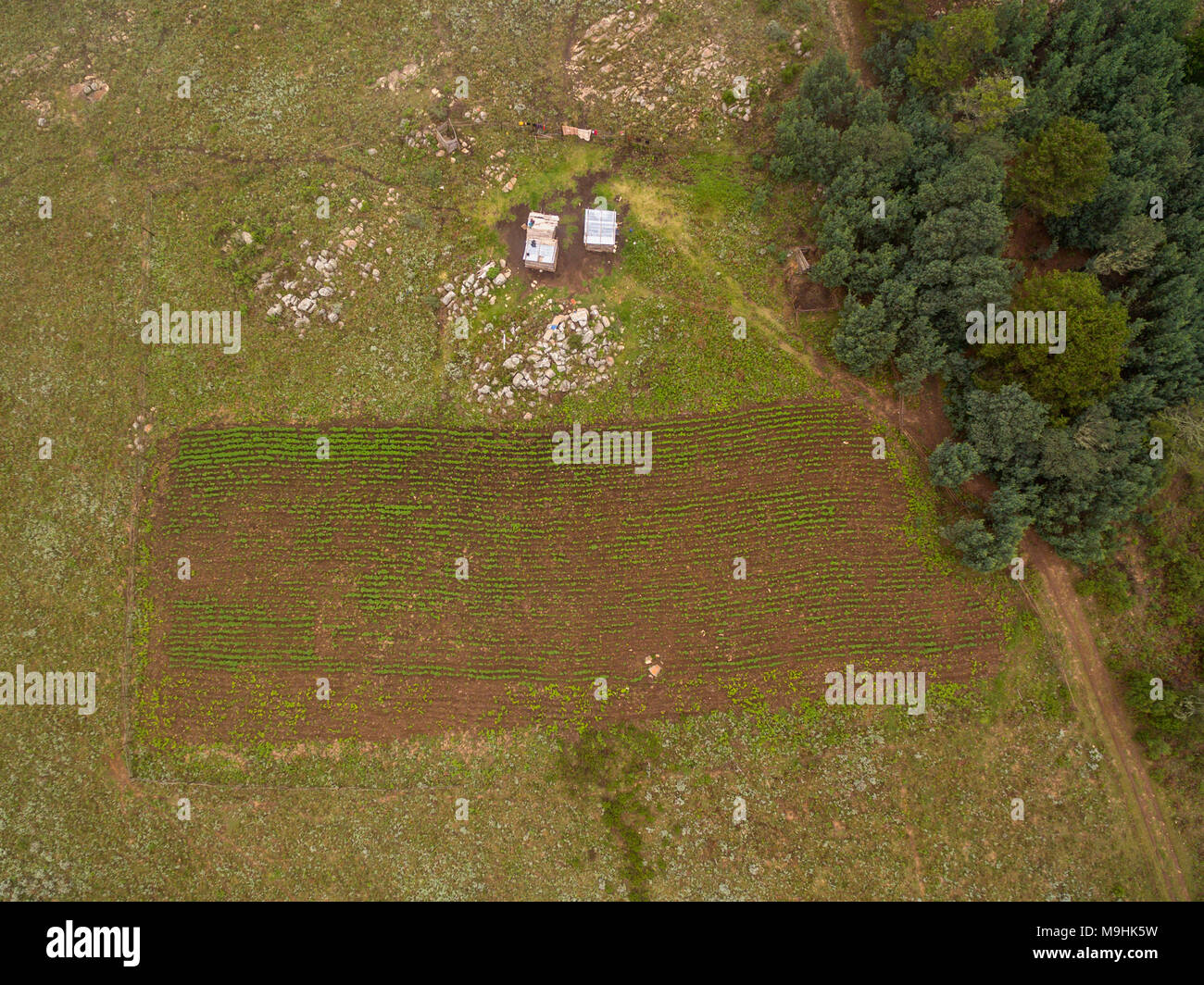 Eine Luftaufnahme einer kleinen Farm in Simbabwe. Stockfoto