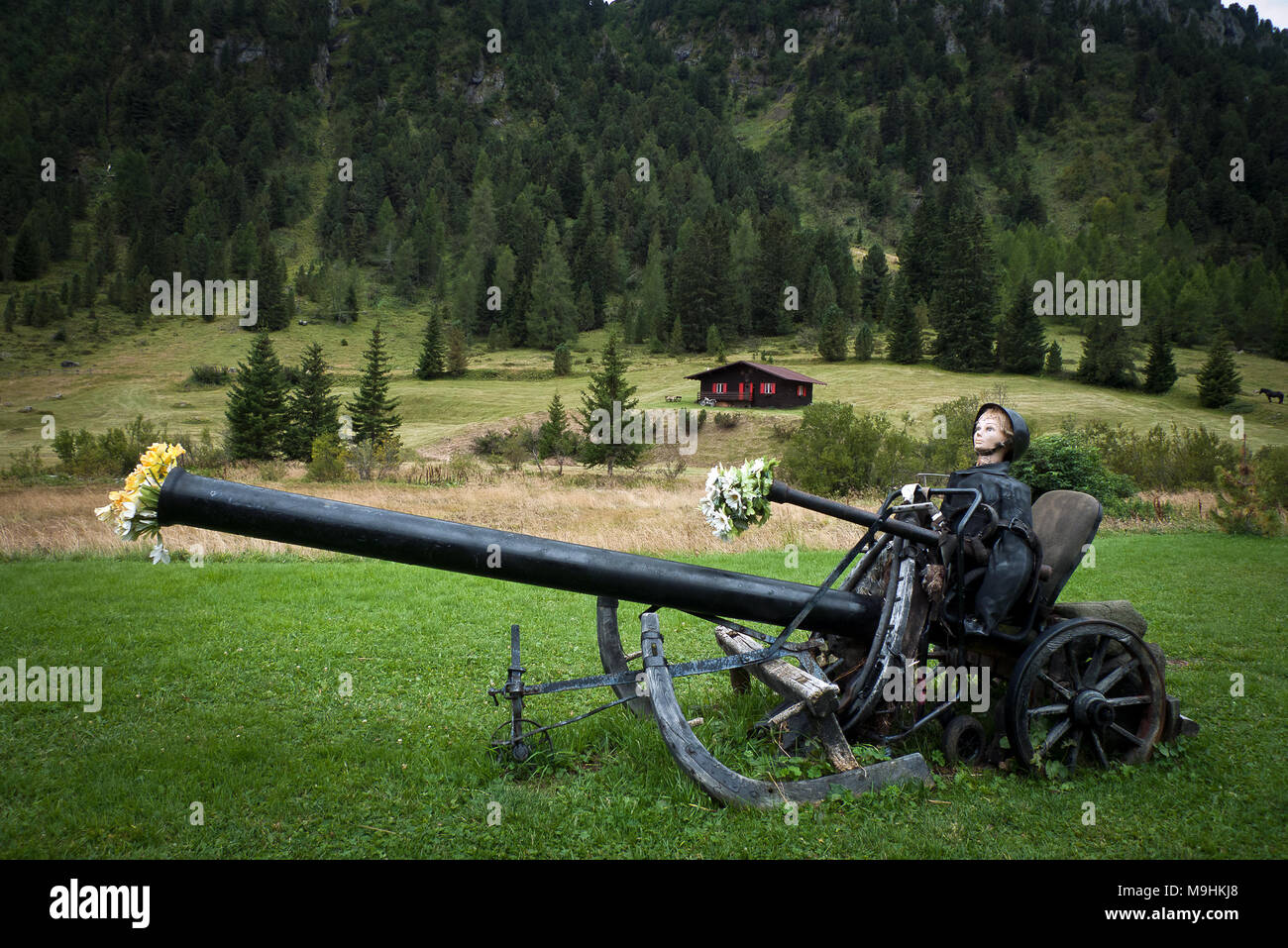 Dolomiten, Trentino Alto Adige, Italien: Weltkrieg Kanone mit Blumen, Stockfoto