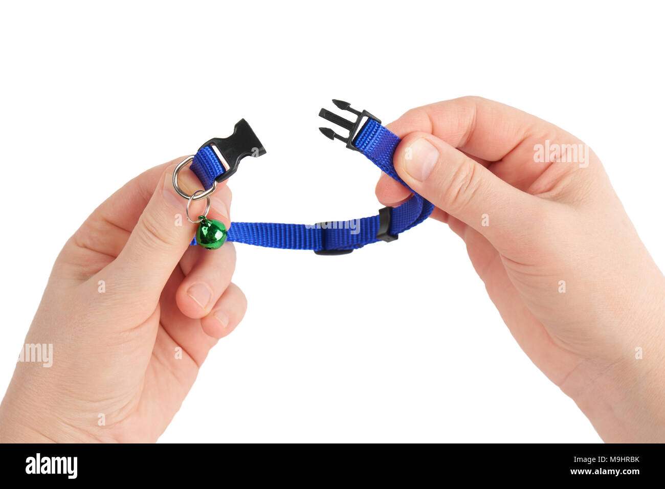 Woman's Holding aufgeknöpft blau Halsband mit grüne Glocke auf weißem Hintergrund Stockfoto