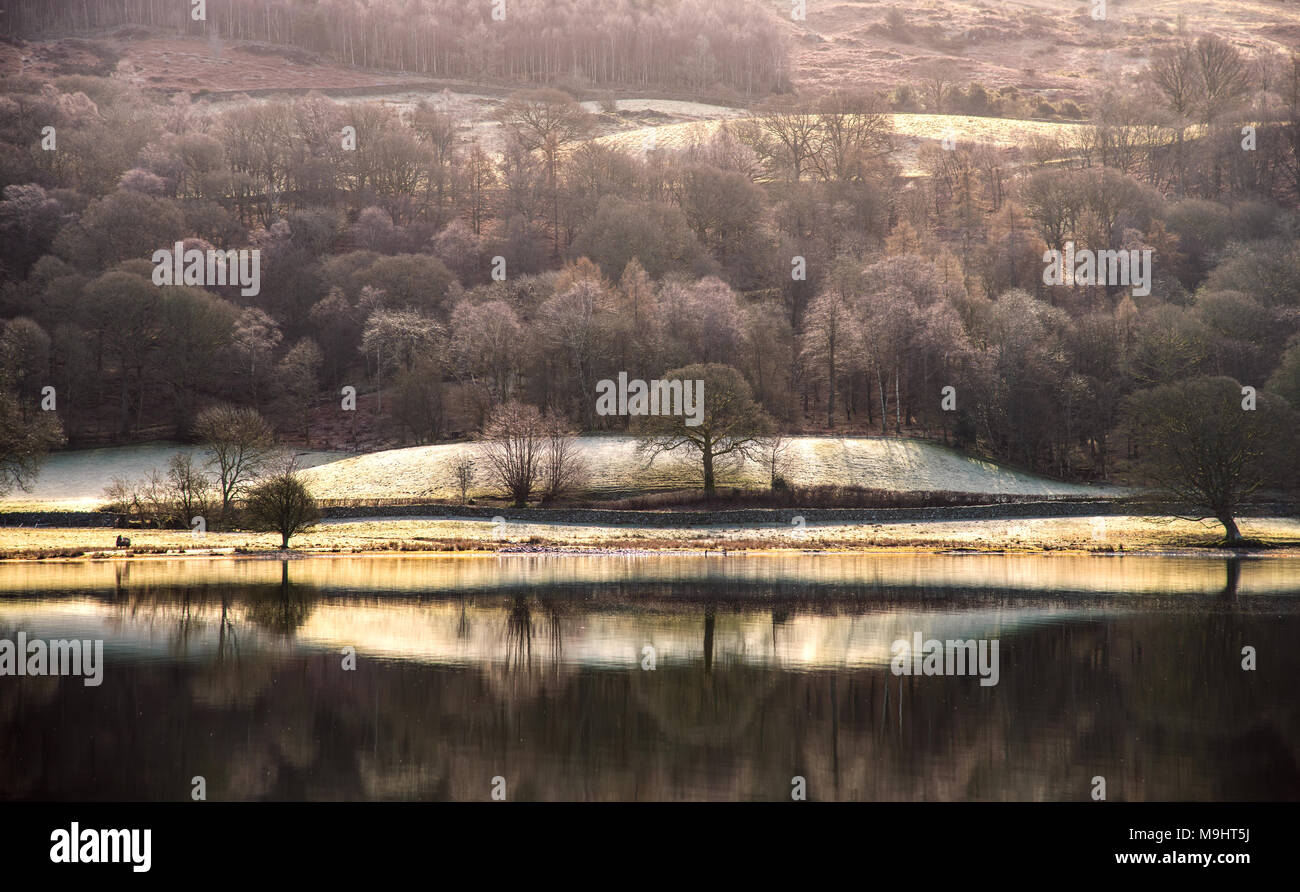 Blick über das südliche Ende von Consiton Wasser an einem frostigen Frühling Morgen als die Sonne war gerade erst mit dem anderen Ufer zu fangen. Von Stirn schossen Stockfoto