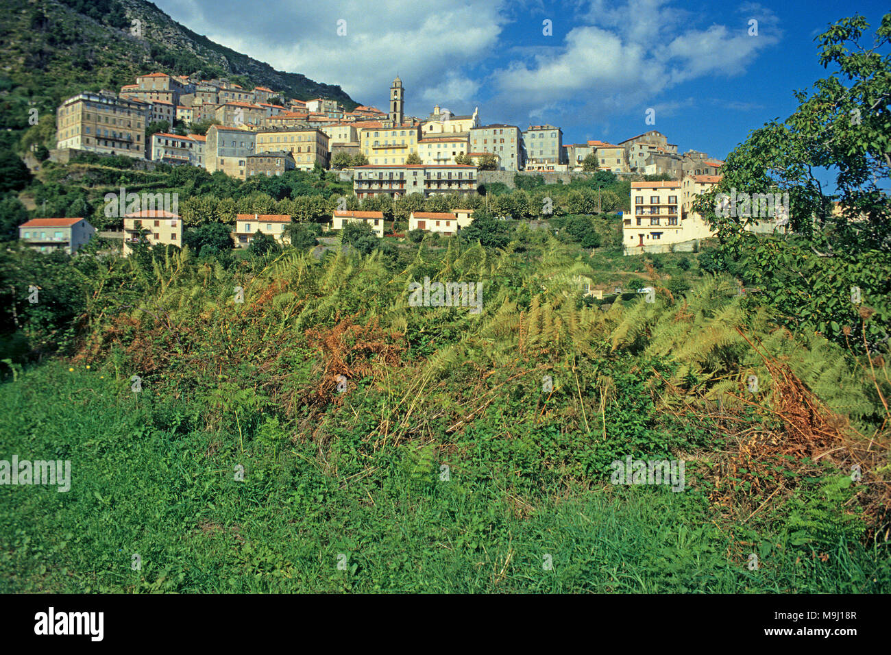 Das malerische Bergdorf Cervione, Korsika, Frankreich, Mittelmeer, Europa Stockfoto