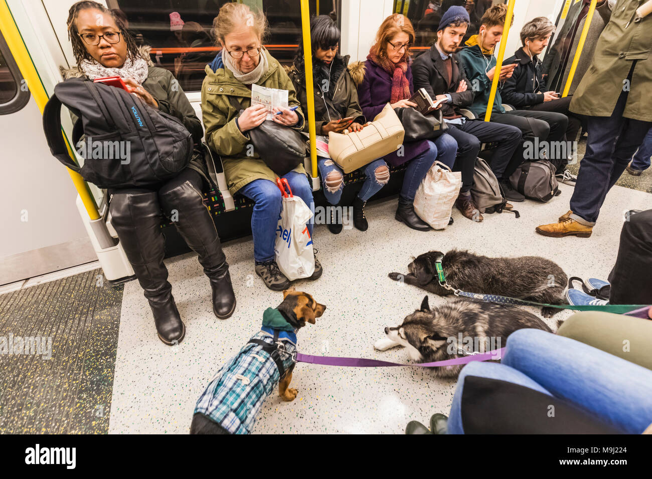 England, London, U-Bahn Wagen mit Passagieren und Hunde Stockfoto