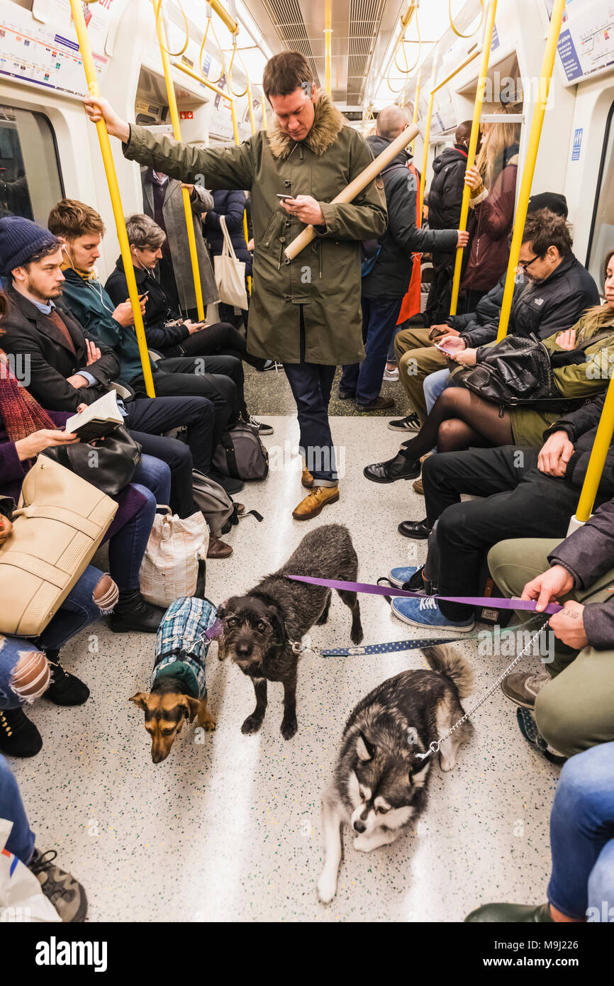 England, London, U-Bahn Wagen mit Passagieren und Hunde Stockfoto