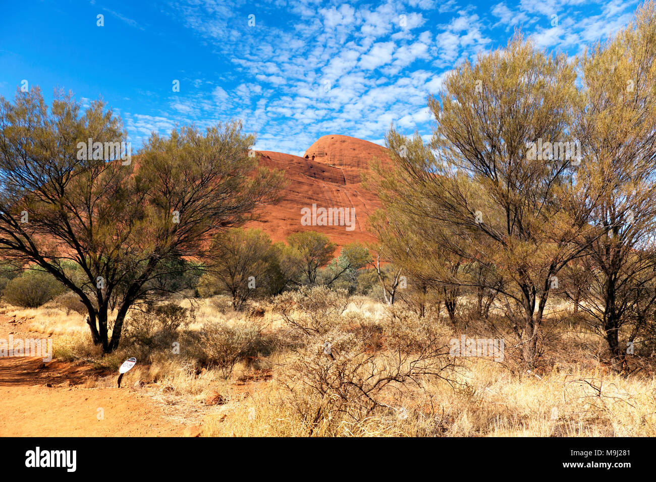 Close-up-, Weitwinkel-, Blick auf die Kata Tjuṯa, einer Gruppe von Großen, gewölbtes Felsformationen im Uluṟu - Kata Tjuṯa National Park, Northern Territory, Australien Stockfoto