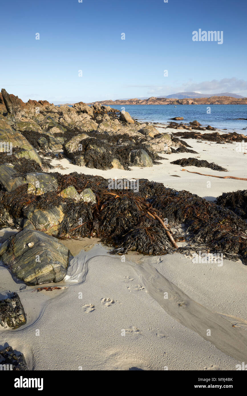 Februar ein sonniger Nachmittag. North East über St. Ronan;'s Bay und der Klang von Iona auf Mull. Mit Felsenküste und Algen. Iona Stockfoto