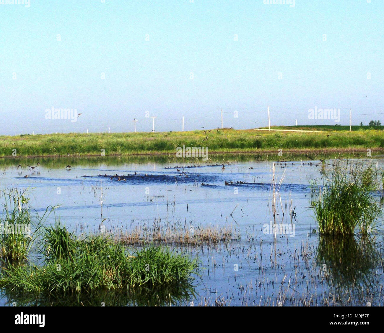 Northern Tallgrass Prairie Feuchtgebiet Stockfoto