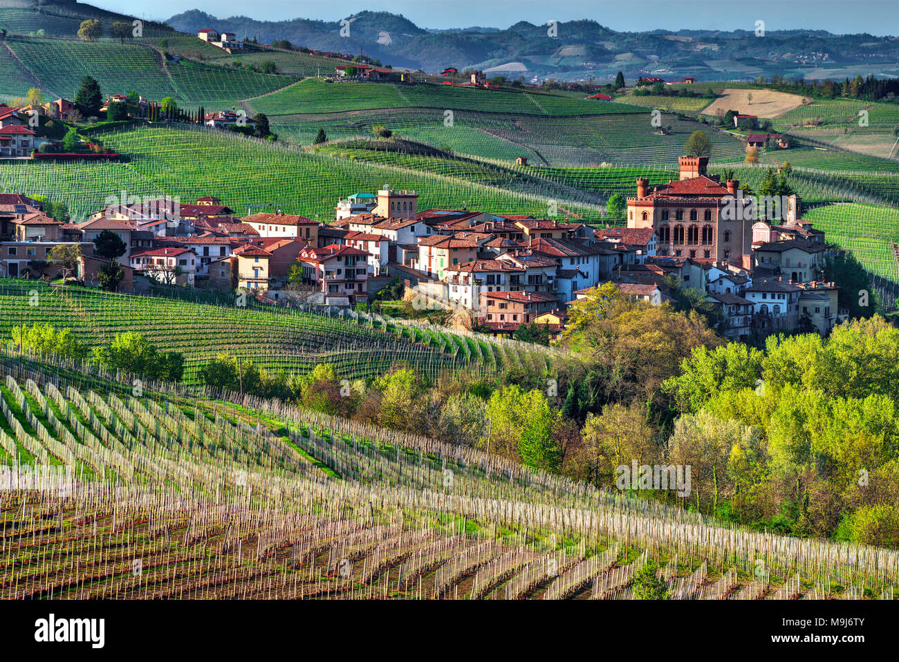 Die Stadt Barolo, mit der falletti Schloss, inmitten der Weinberge, im Zentrum der Gegend von der gleichnamigen Wein. Unesco-Weltkulturerbe. Stockfoto