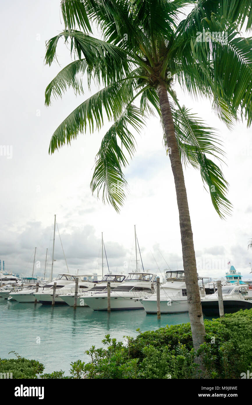 Miami Boote Stockfoto