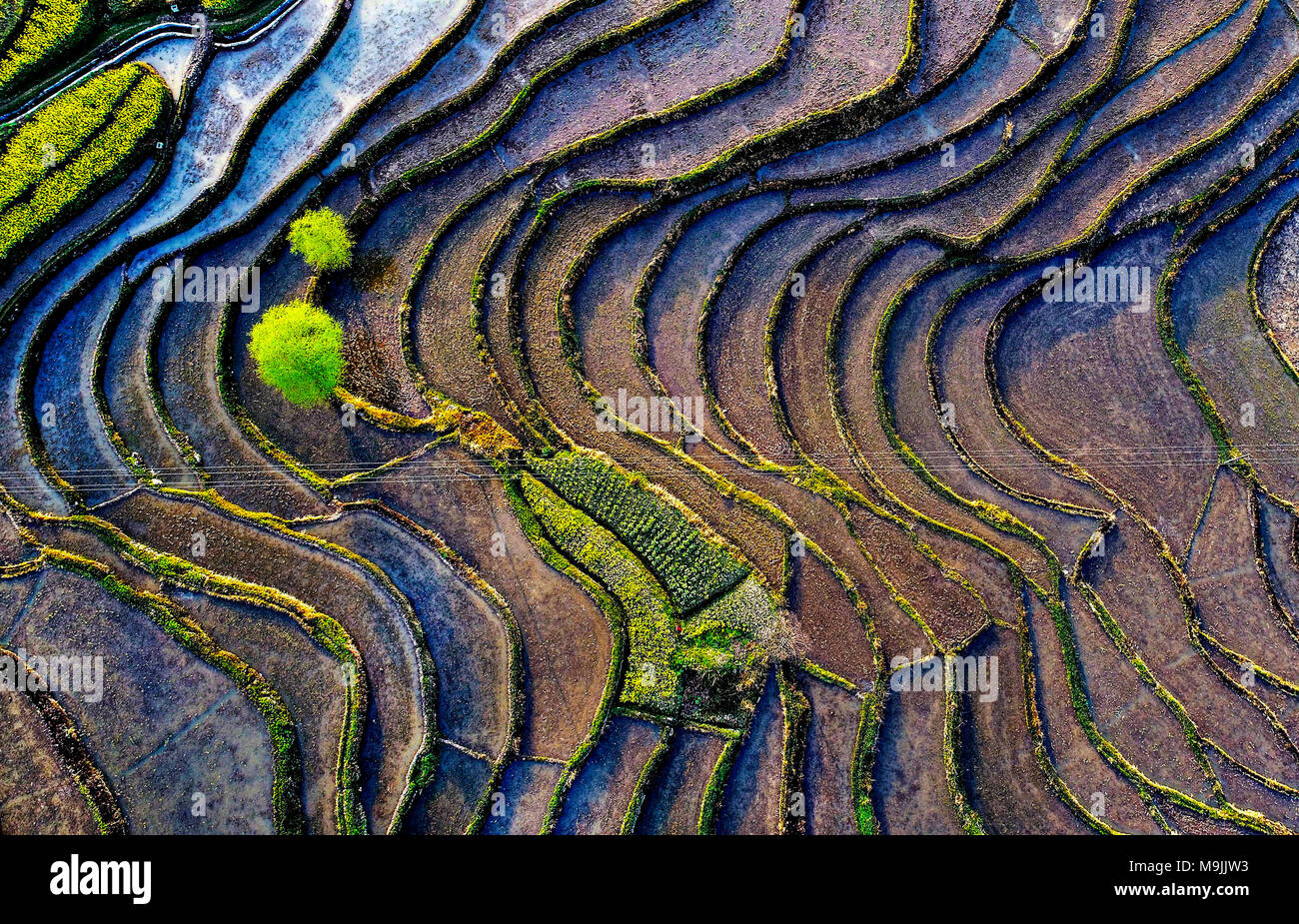 Hanyin. 27 Mär, 2018. Foto am 27. März 2018 zeigt die Landschaft des Fengyan Terrassen in Xuanwuo Township von Hanyin County im Nordwesten der chinesischen Provinz Shaanxi. Die Fengjiang Terrasse und Yanping Terrasse, oder der Fengyan Terrassen, das Datum wieder auf Vor über 250 Jahren von großer Bedeutung für das Studium der Chinesische alte bäuerliche Kultur. Credit: Liu Xiao/Xinhua/Alamy leben Nachrichten Stockfoto