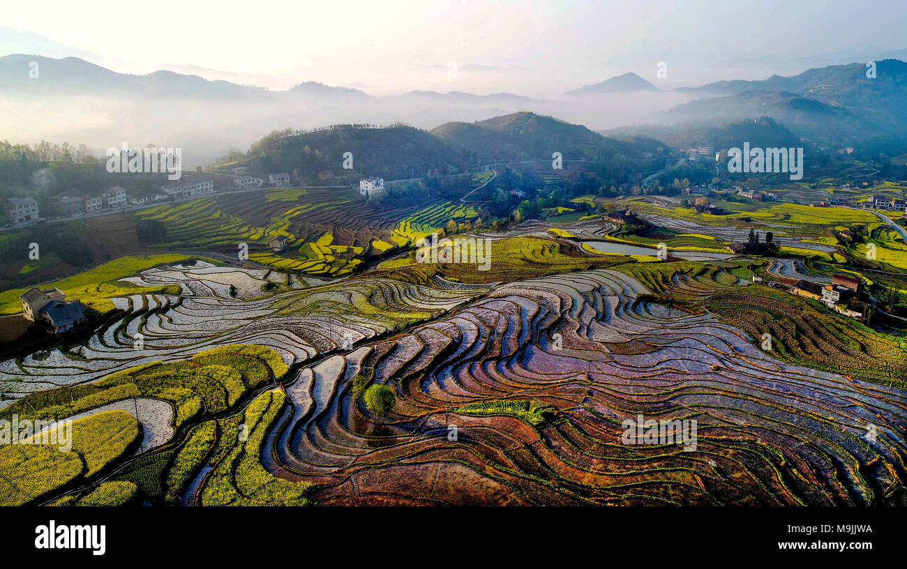 Hanyin. 27 Mär, 2018. Foto am 27. März 2018 zeigt die Landschaft des Fengyan Terrassen in Xuanwuo Township von Hanyin County im Nordwesten der chinesischen Provinz Shaanxi. Die Fengjiang Terrasse und Yanping Terrasse, oder der Fengyan Terrassen, das Datum wieder auf Vor über 250 Jahren von großer Bedeutung für das Studium der Chinesische alte bäuerliche Kultur. Credit: Liu Xiao/Xinhua/Alamy leben Nachrichten Stockfoto