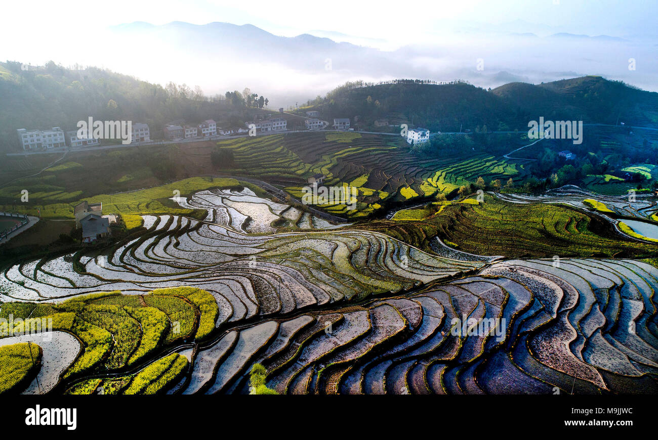 Hanyin. 27 Mär, 2018. Foto am 27. März 2018 zeigt die Landschaft des Fengyan Terrassen in Xuanwuo Township von Hanyin County im Nordwesten der chinesischen Provinz Shaanxi. Die Fengjiang Terrasse und Yanping Terrasse, oder der Fengyan Terrassen, das Datum wieder auf Vor über 250 Jahren von großer Bedeutung für das Studium der Chinesische alte bäuerliche Kultur. Credit: Tao Ming/Xinhua/Alamy leben Nachrichten Stockfoto