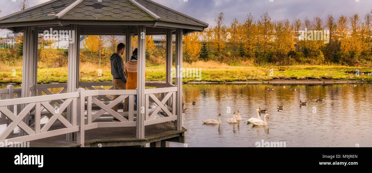 Familie Füttern der Vögel von einem Pavillon, Herbst Kopavogur, Island. Stockfoto