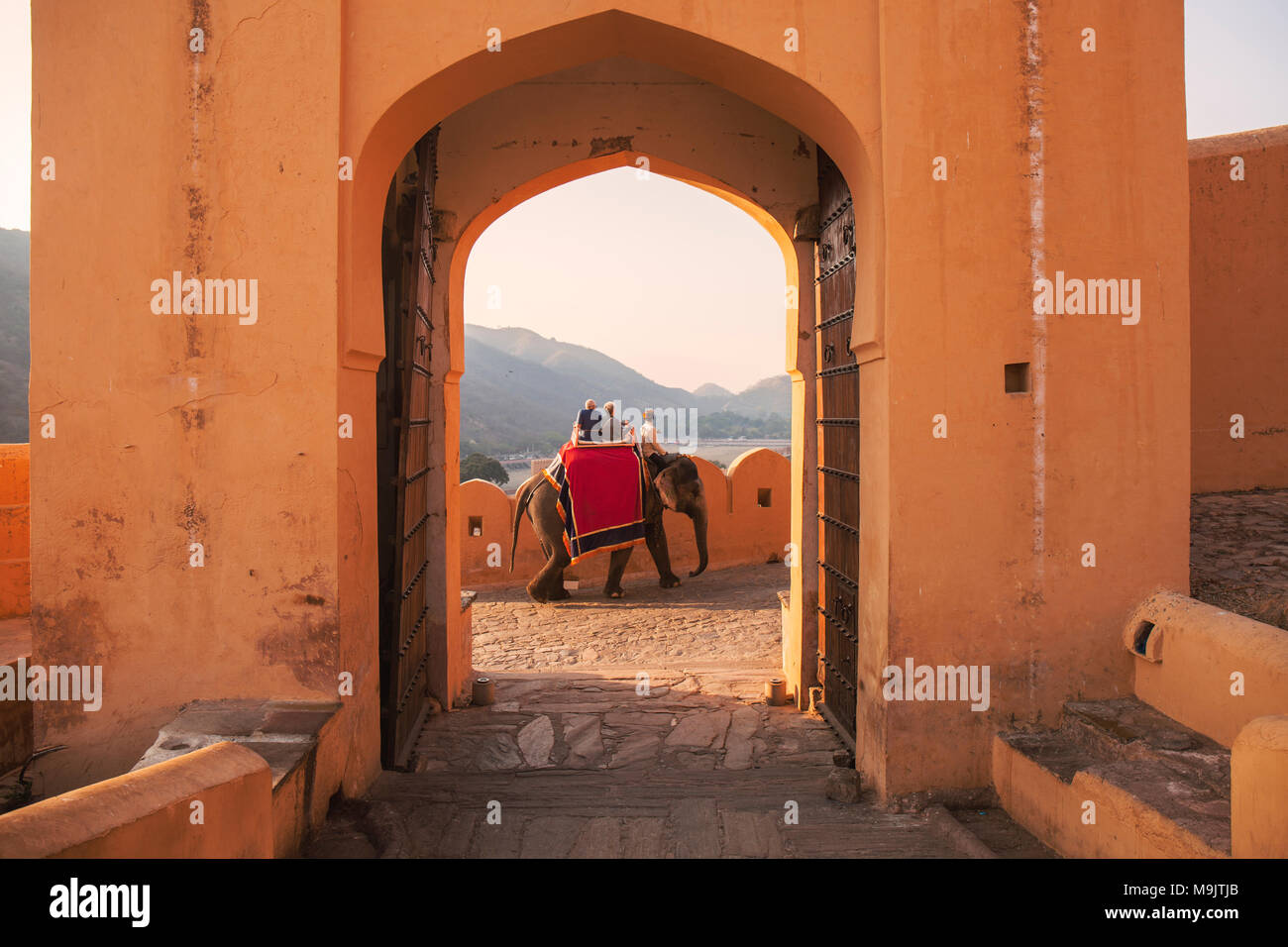Touristen reiten ein asiatischer Elefant zum Eingang des Amer Fort. Stockfoto
