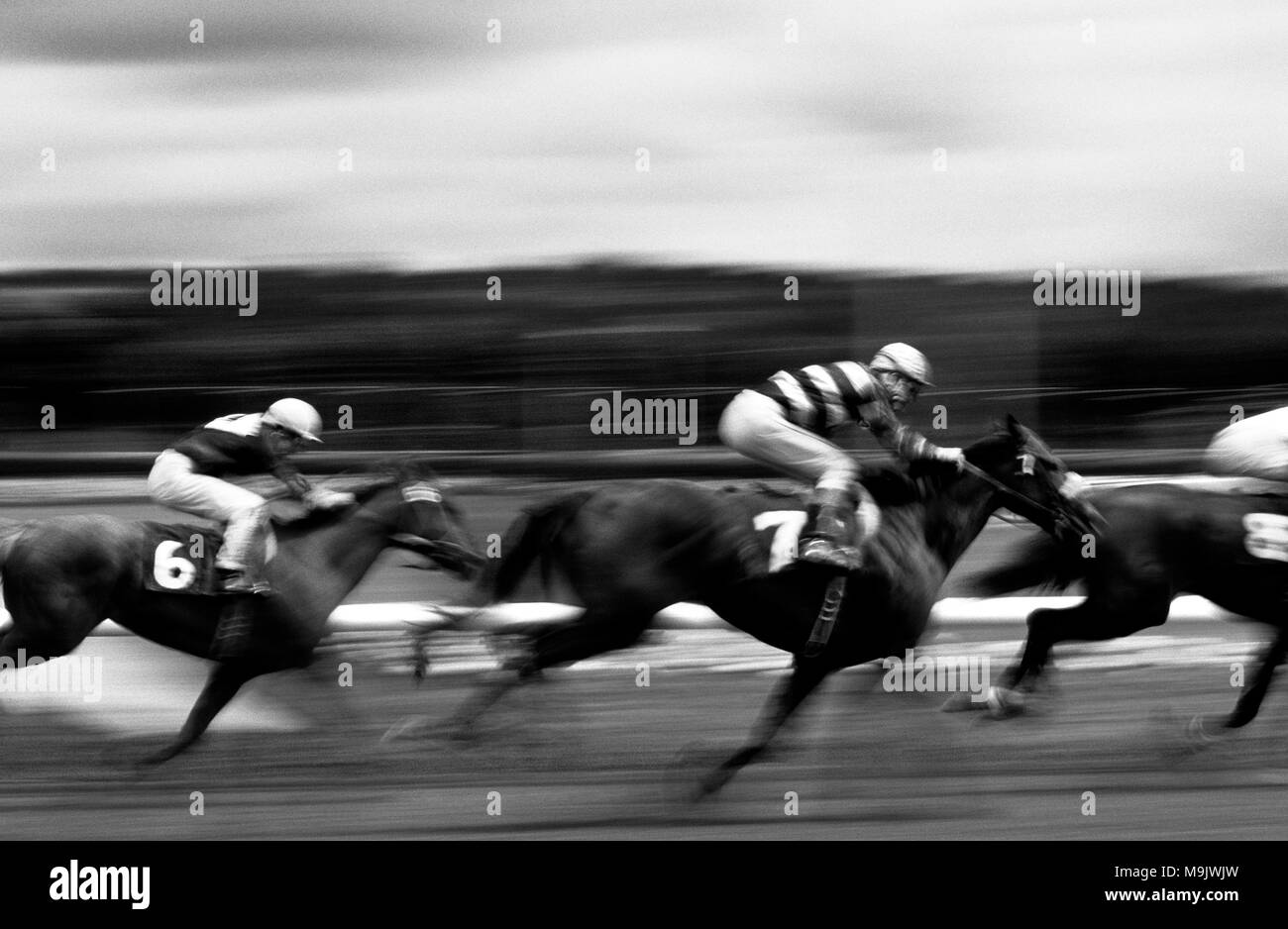Pferderennen mit Bewegung, während die Reiter und Pferde vorbei gehen, schwarz-weißes Bild Stockfoto