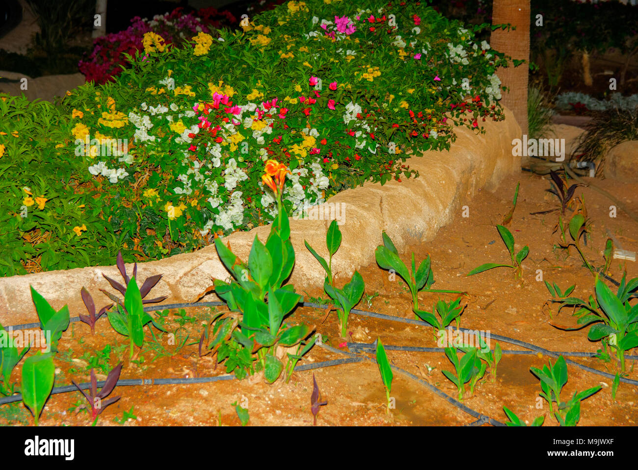 Sharm-el-Sheikh, Ägypten - März 14., 2018. Schöner Pool mit klarem blauen Wasser und der Reflexion von Objekten in der Nacht. Kyrene Grand Hotel. Stockfoto