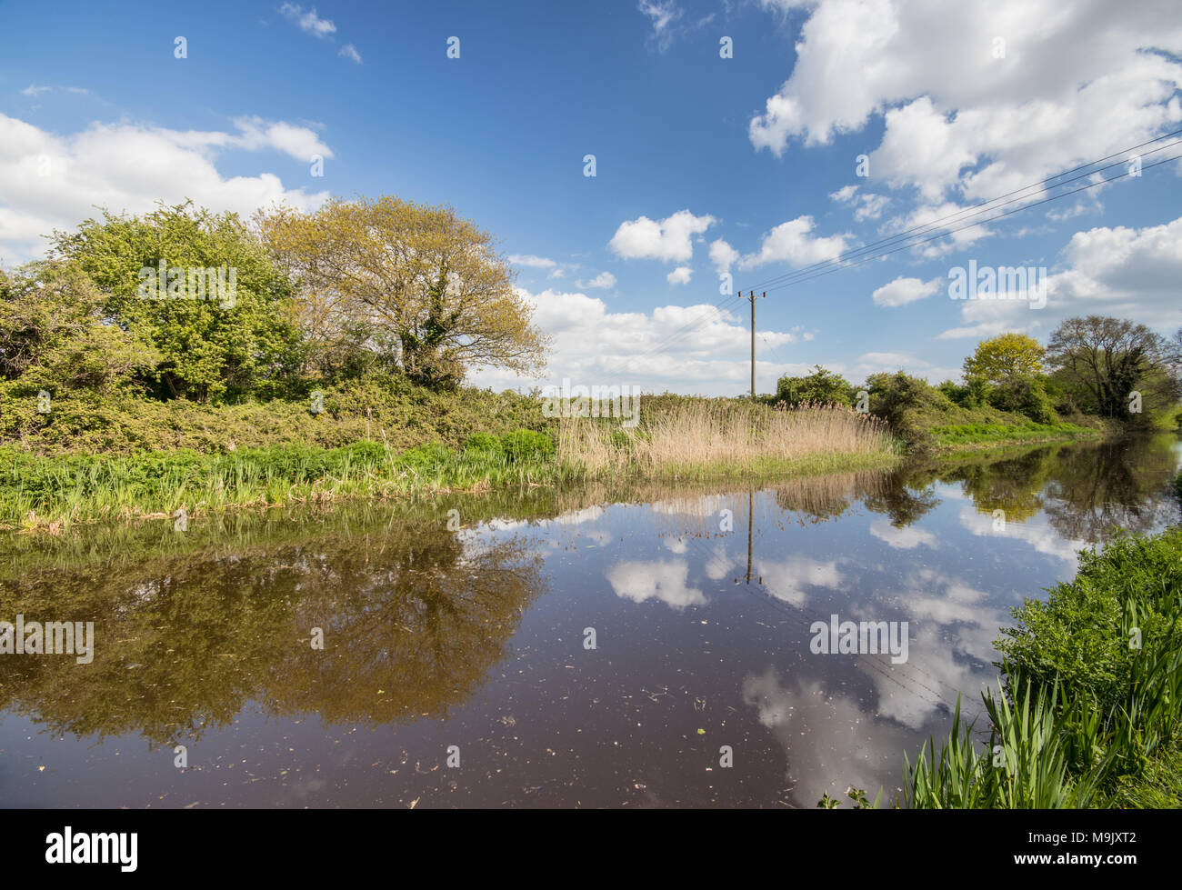 Chichester Ship Canal, Chichester, West Sussex, Großbritannien Stockfoto