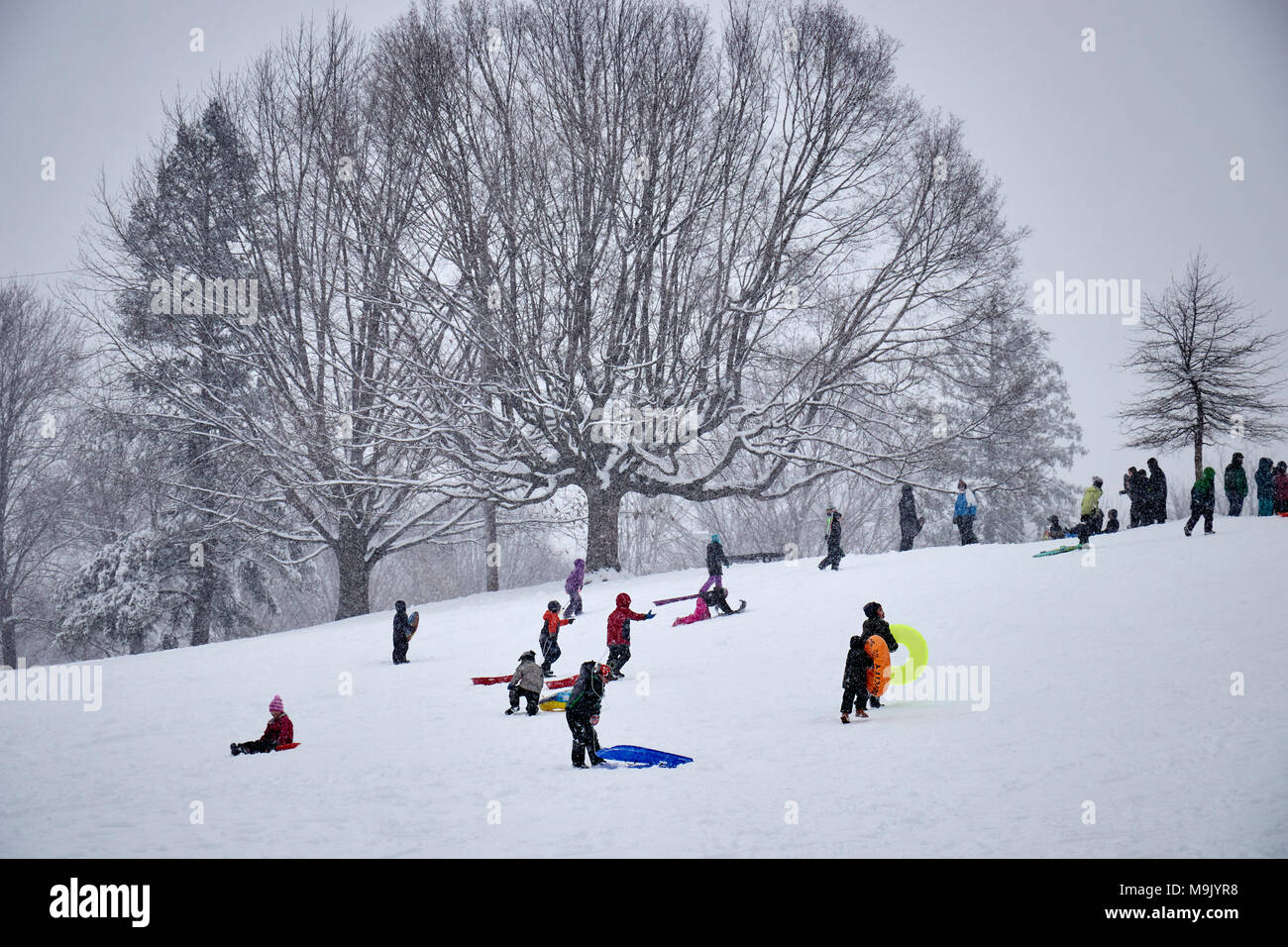 Menschen in Buchanan Park, die Stadt von Lancaster, Lancaster County, Pennsylvania, USA spielen Stockfoto