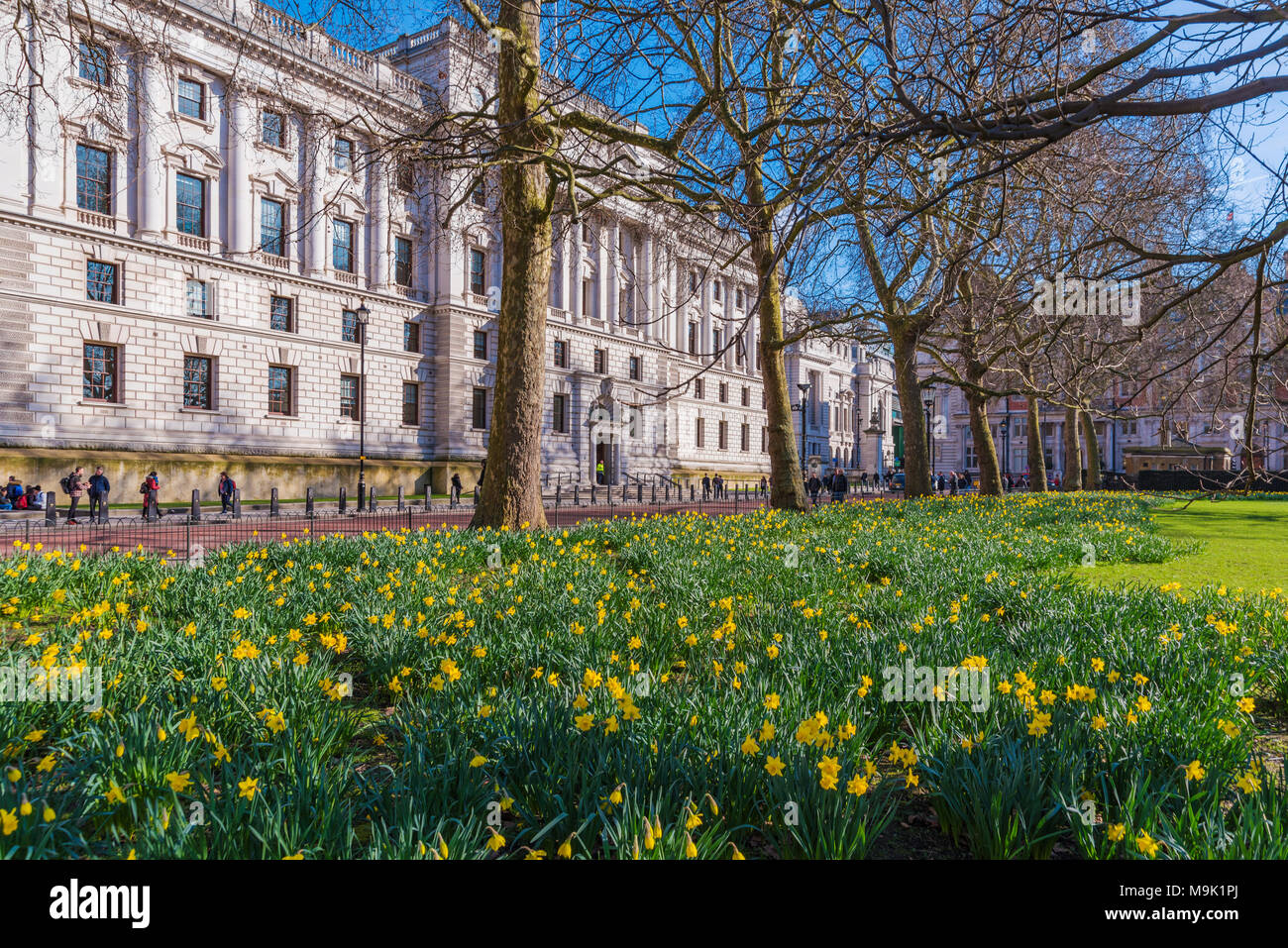 LONDON, GROSSBRITANNIEN, 21. März: St James's Park Blumen außerhalb der Household Cavalry Museum in Westminster am 21. März 2018 in London. Stockfoto