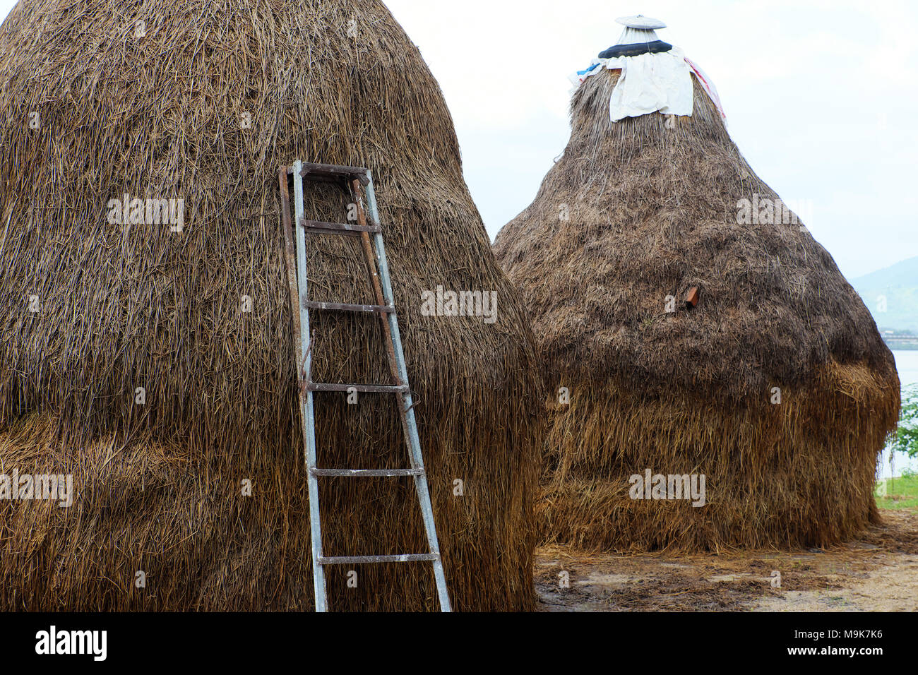 Zwei Stapel von Stroh nach der Ernte von Reis auf Landstraße, Binh Dinh, Vietnam, chemische Heuhaufen für Futtermittel Stockfoto