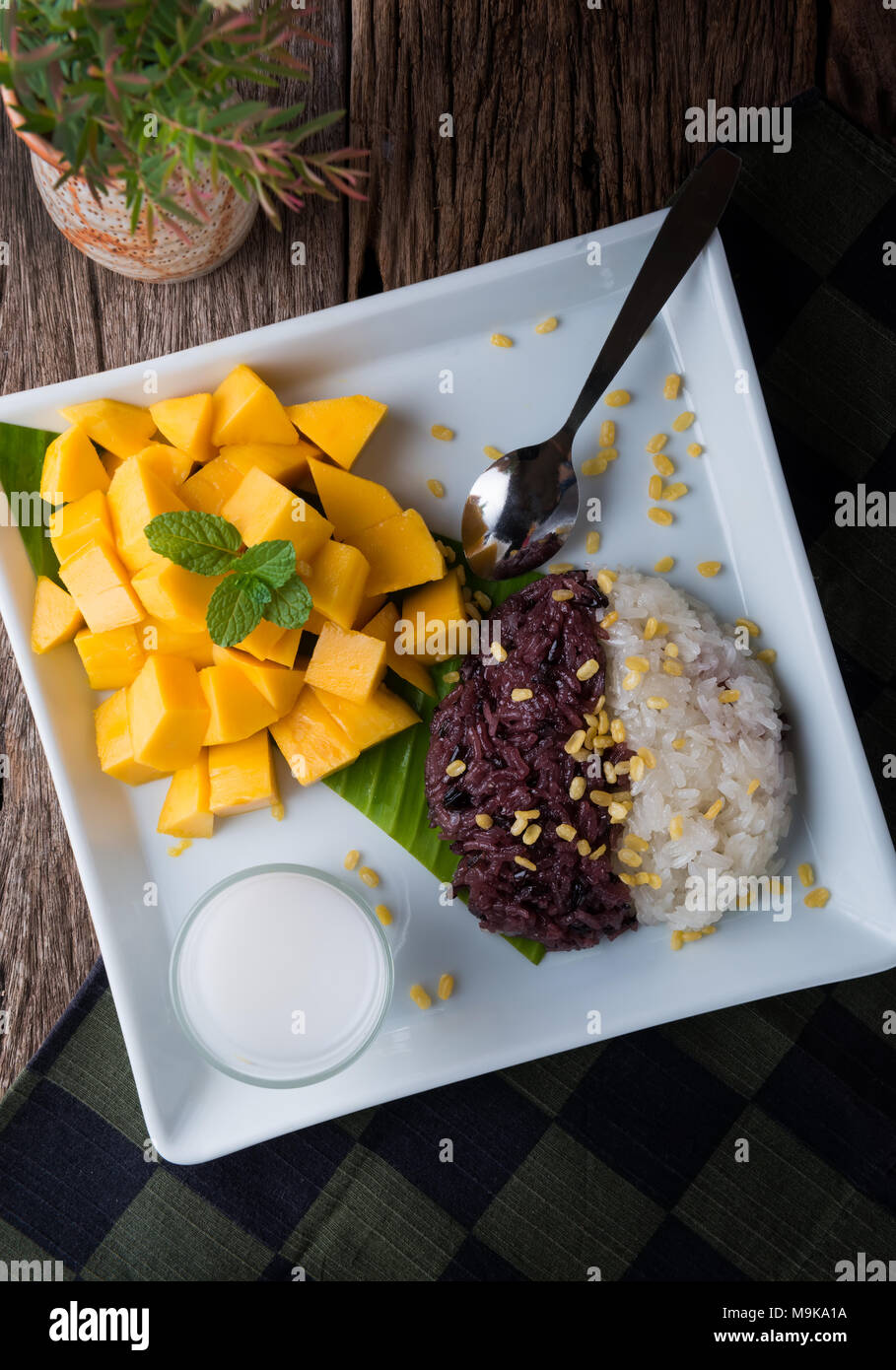 Mango mit klebrigen Reis im thailändischen Stil Dessert der Sommerzeit bereit zu essen. Stockfoto