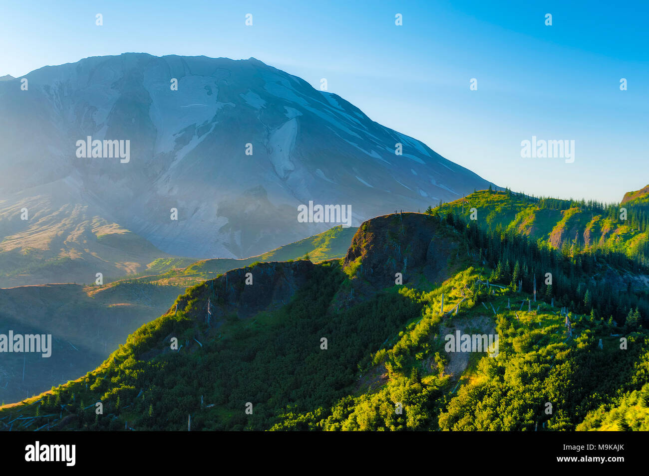 Westflanke des Mt. St. Helens ein Leuchten mit frühen Morgenlicht. Stockfoto