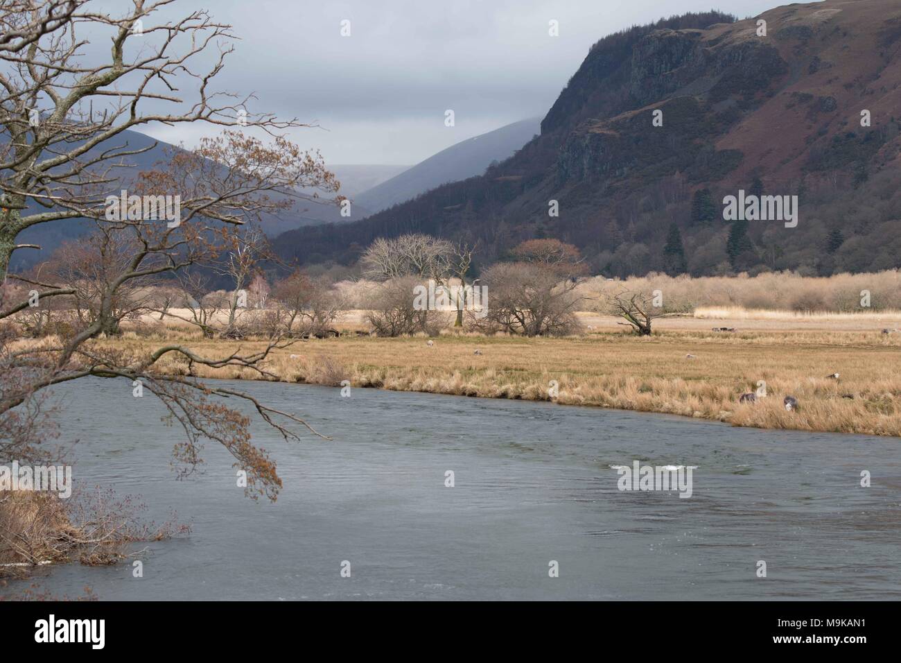 Lake District, England, Vereinigtes Königreich Stockfoto