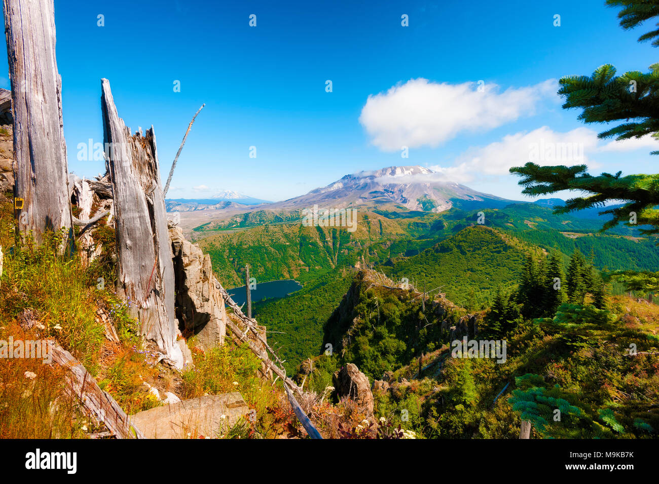 Wandern in der Nähe der Oberseite der Castle Peak in Gifford Pinchot National Forest im Staat Washington, kann man die weite Landschaft mit Mt. St. Helens und Mt. Stockfoto