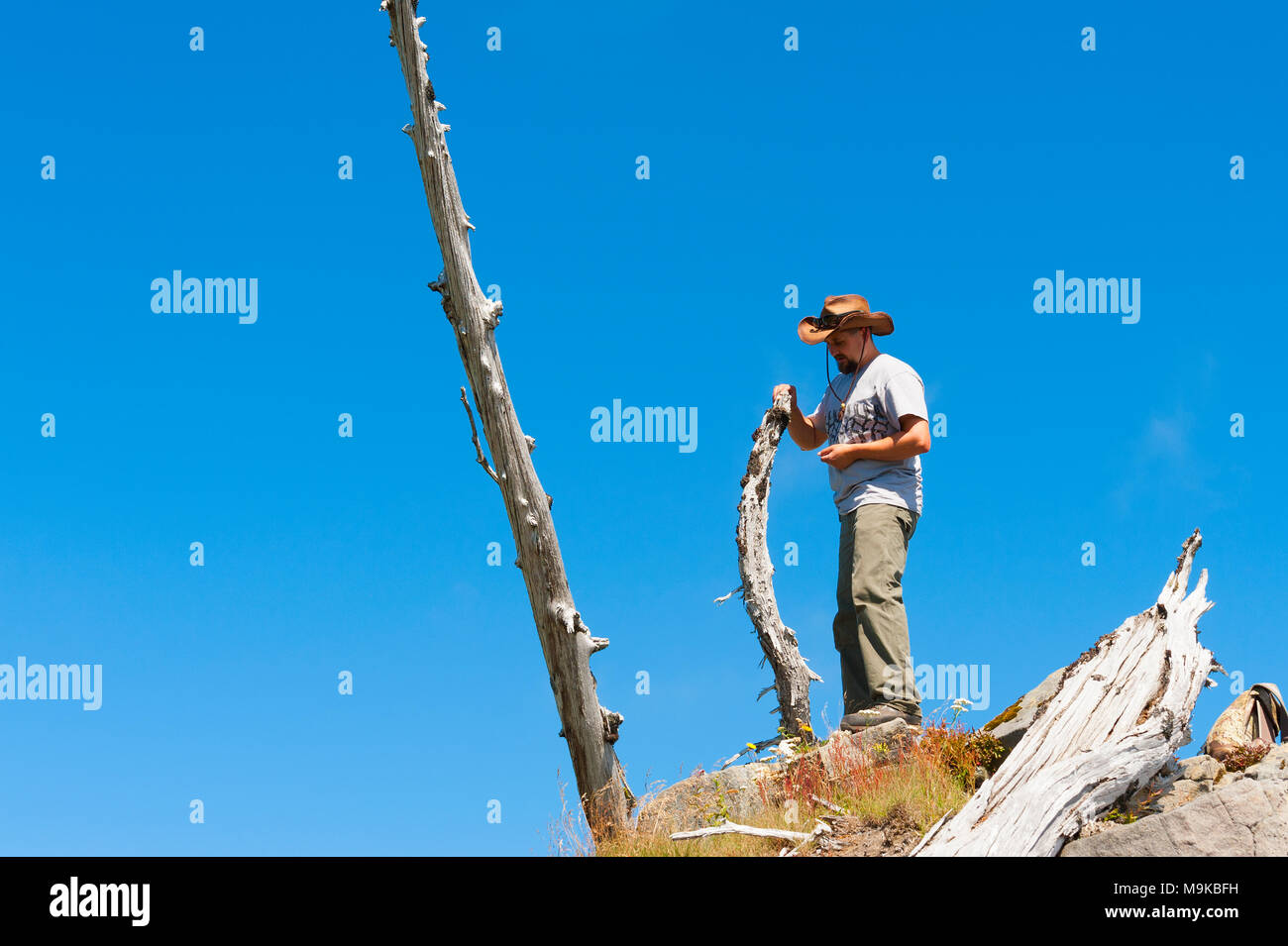 Ein männlicher Wanderer einen Hut tragen und Short Sleeve T-shirt steht auf der Spitze des Castle Peak, in der Nähe von Mt. St. Helens in Gifford Pinchot National Forest. Stockfoto