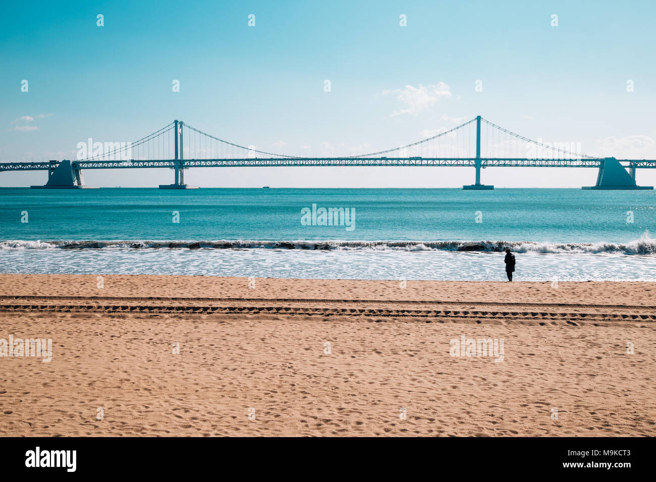 Gwangan Brücke mit Strand in Busan, Korea Stockfoto