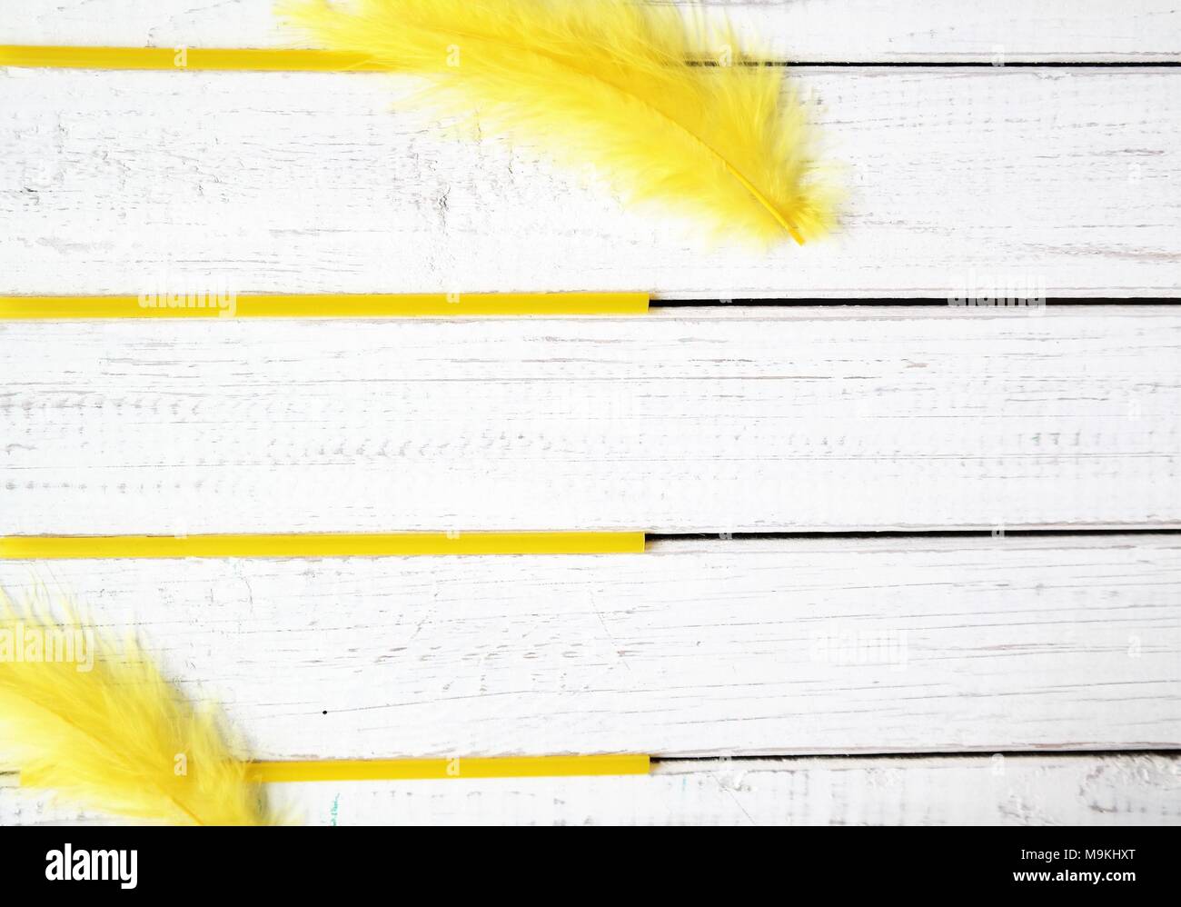 Happy Sommer oder Frühling Konzept mit gelber Farbe, weiß Holz- Hintergrund und Text Raum Stockfoto