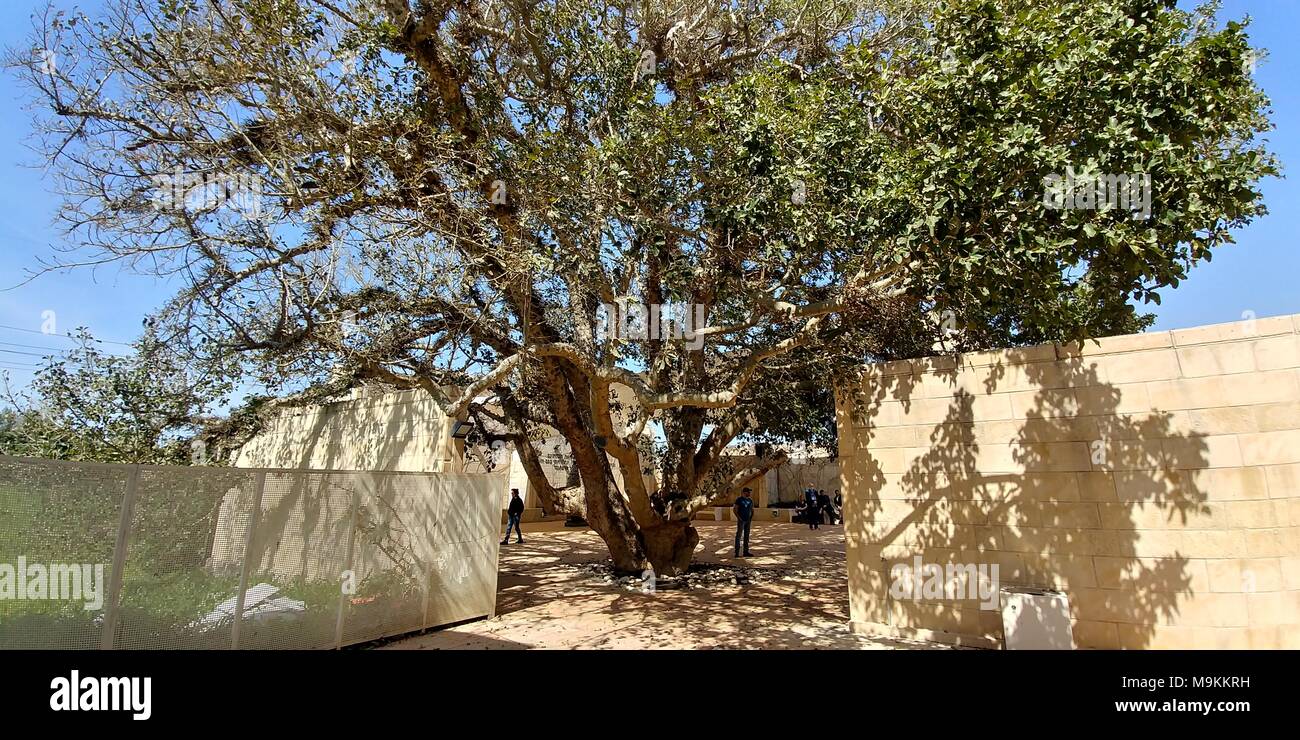 Über dem Boden Beerdigung Krypten auf dem jüdischen Friedhof in Herzlia, Israel Stockfoto