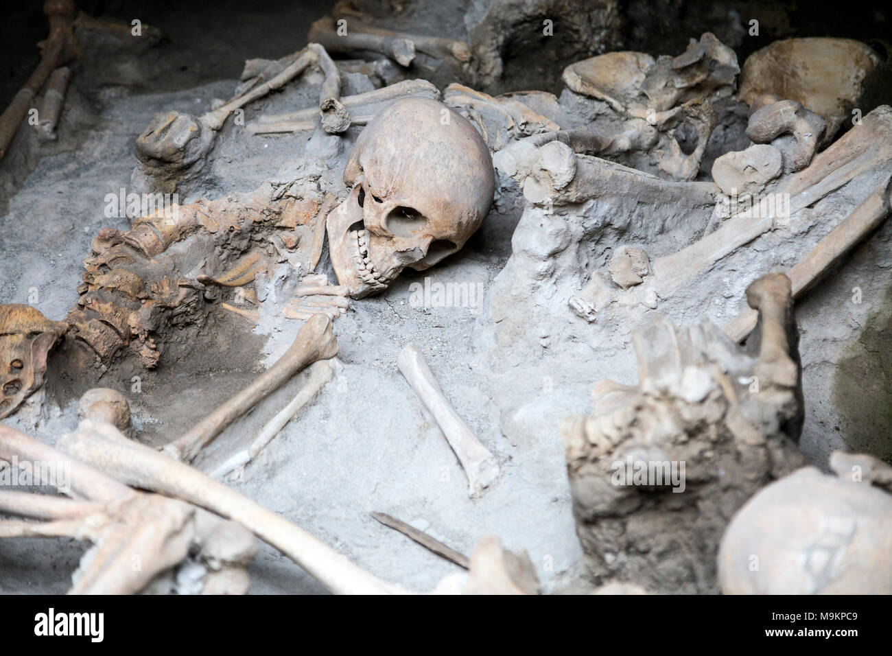 Skelette und Knochen der Opfer von einem Vulkanausbruch im Jahr 79 N.CHR. in der römischen Stadt Herculaneum, Italien Stockfoto