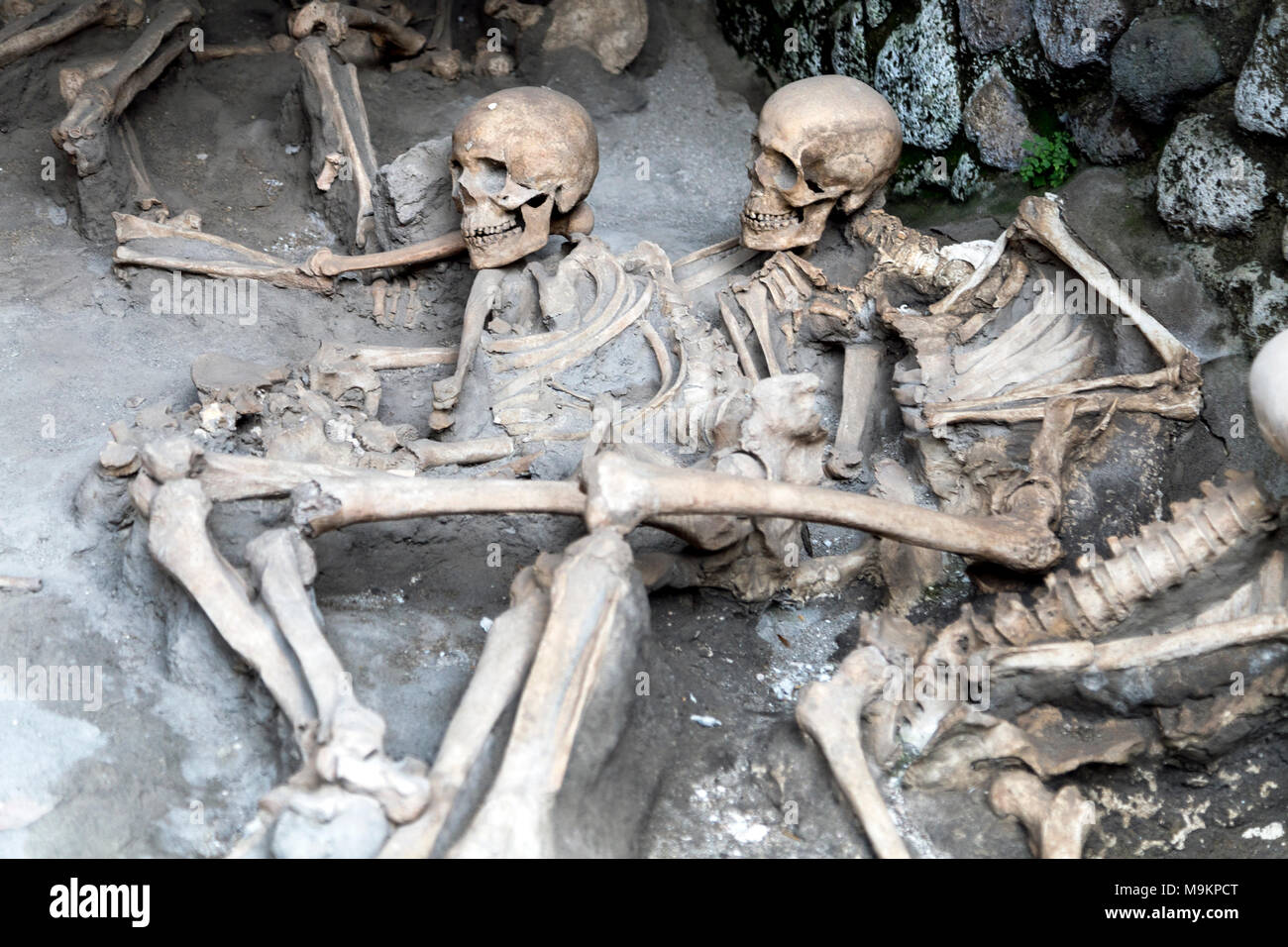 Skelette und Knochen der Opfer von einem Vulkanausbruch im Jahr 79 N.CHR. in der römischen Stadt Herculaneum, Italien Stockfoto