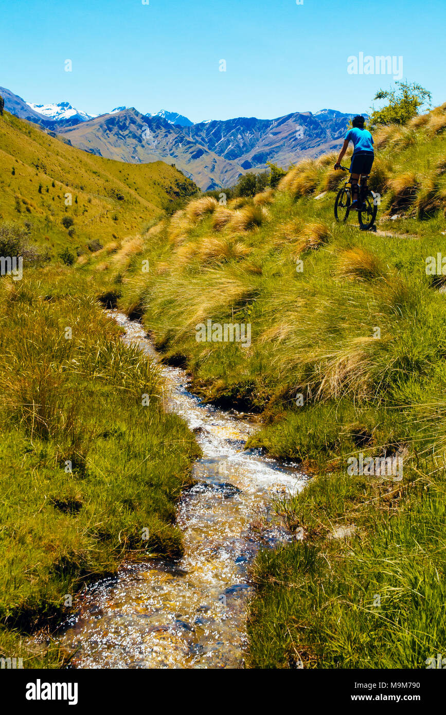 Mountainbiker absteigend das Pack Track im Skippers Canyon in der Nähe von Queenstown, Neuseeland mit Mt Aurum auf die Skyline Stockfoto
