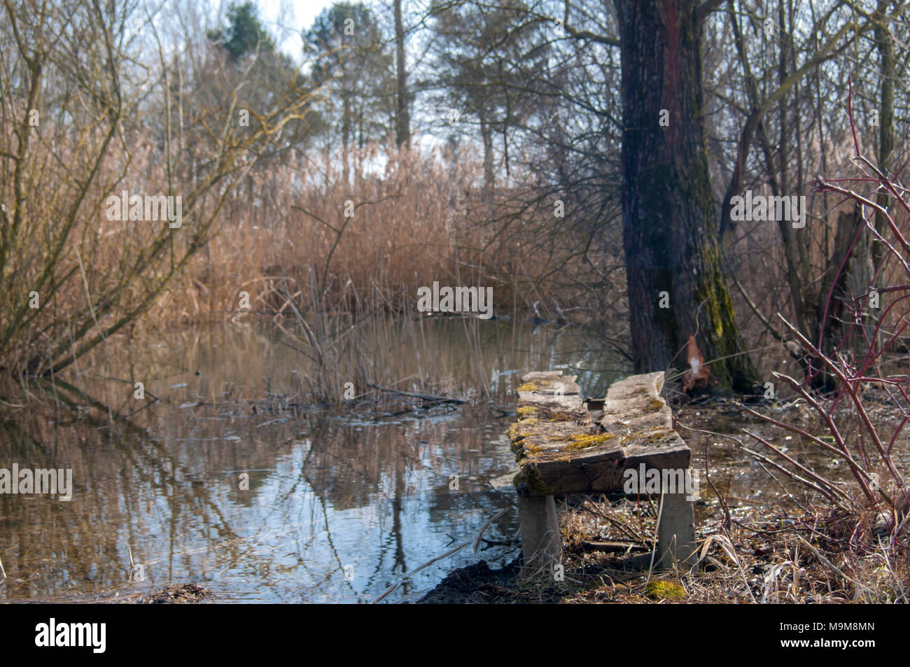 DE - Alte Sitzbank Stockfoto